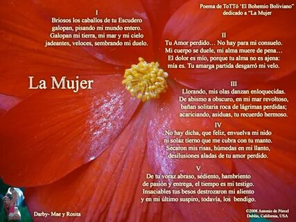 Poema a la mujer - Imagui