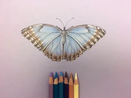 3D Blue Butterfly Cutout Paper Art Drawing on Behance