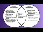 Advantages and Disadvantages of Sexual and Asexual Reproduct