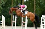 Обои конь, прыжок, спорт, лошадь, jumping, horse, конкур, eq