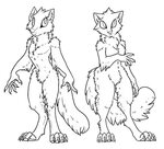Furry Base Drawing Fox