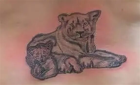 What Does Lion and Cub Tattoo Mean? Represent Symbolism