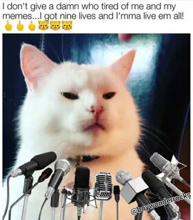 Our Memes of the Week #46: Smudge the Cat Edition (The Retur