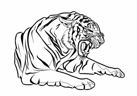 Ausmalbilder Tiger für kinder Große Sammlung - Drucken