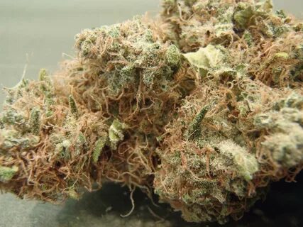 What Is "AK-47" Weed and What Makes the Legendary Strain Abs