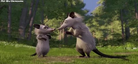 Ozzie and Heather talking. - Over the Hedge Photo (26594810)