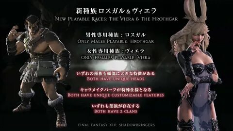 Final Fantasy XIV Reintroduces "Gender"-locked races, Viera femal...