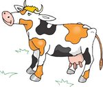 Бесплатные фото на Pixabay - Корова, Крупный Рогатый Скот Кр
