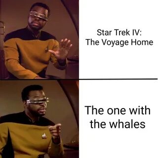 Star Trek' Memes: The Final Frontier - 'Star Trek' Memes