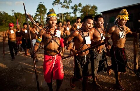 PhotoEssay: Ruin and resistance on the Xingu River - Jungle 