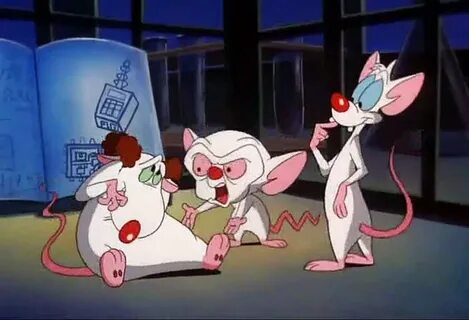 Pictures Of Pinky And The Brain posted by Christopher Cunnin