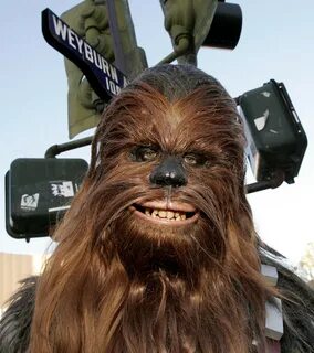 Wookie Star Wars Chewbacca Clipart Png Download 1537342 Pinc