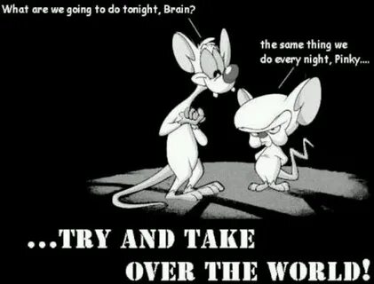 Pinky & The Brain-One is a genius the other insane! Funny pi