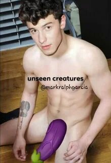 Mark בטוויטר: "Shawn Mendes Nude Photo. Retweet for the unce