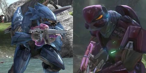 Halo Infinite Does Not Have Playable Elites - Mobile Legends