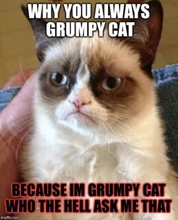 Grumpy Cat Meme - Imgflip