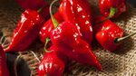 Is It Safe To Eat Ghost Peppers?
