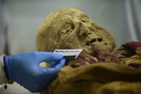 Mummy remains studied for rheumatoid arthritis - The History Blog