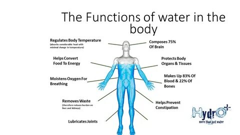 Functions of water - Eschool