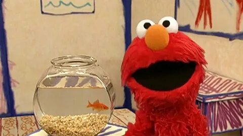 Watch This Video We Made: Elmo Has a Question For YOU! - Tou