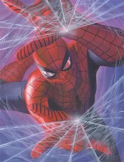 Spider-Man by Alex Ross Spiderman, Marvel spiderman, Marvel 