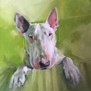 Related image Bull terrier art, Dog paintings, Animal painti