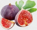 natural foods fruit common fig food plant clipart - Natural 