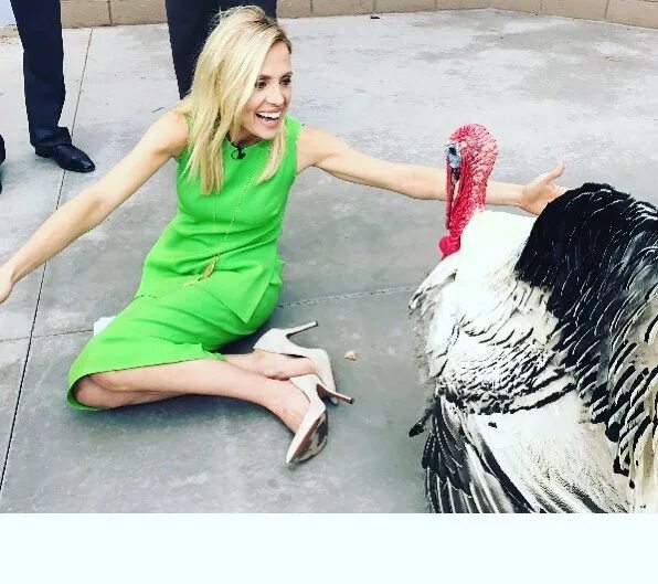 Jessica Holmes Instagramහි "I can understand why turkeys don’t trust h...