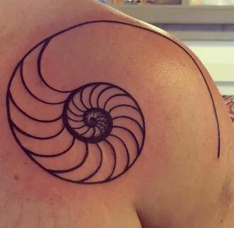 Fibonacci Spiral Shell tattoos, Nautilus tattoo, Seashell ta