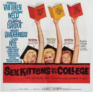 Sex Kittens Go To College Download - nomadteafestival.eu