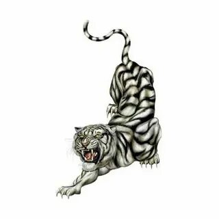 Angry Tiger Tattoo ❤ liked on Polyvore Tiger tattoo design, 