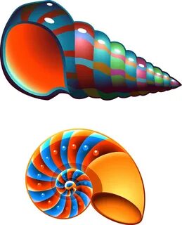 Shell clipart shell spiral, Shell shell spiral Transparent F