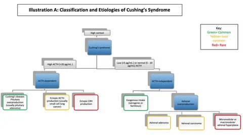 Cushing Syndrome / Disease - Endocrine - Medbullets Step 2/3