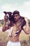 Pin on Hot Guys & Cute Dogs