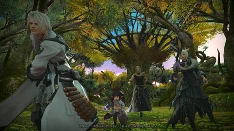 Nier Crossover and a New Tank Job: New Details from the FFXI