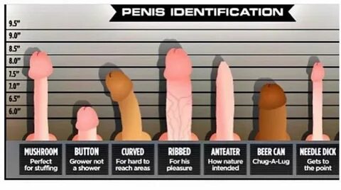 Landon Conrad on Twitter: "I think I’m ribbed! What are you?