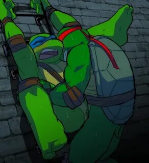 Yaoi pinup leonardo (tmnt)+raphael (tmnt)