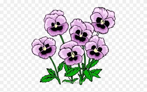 Pansies Royalty Free Vector Clip Art Illustration - Pansy Cl