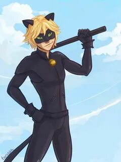 Chat Noir by taratjah Miraculous ladybug, Chat noir, Miracul