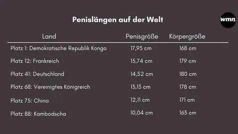 Penis größen vergleich. 