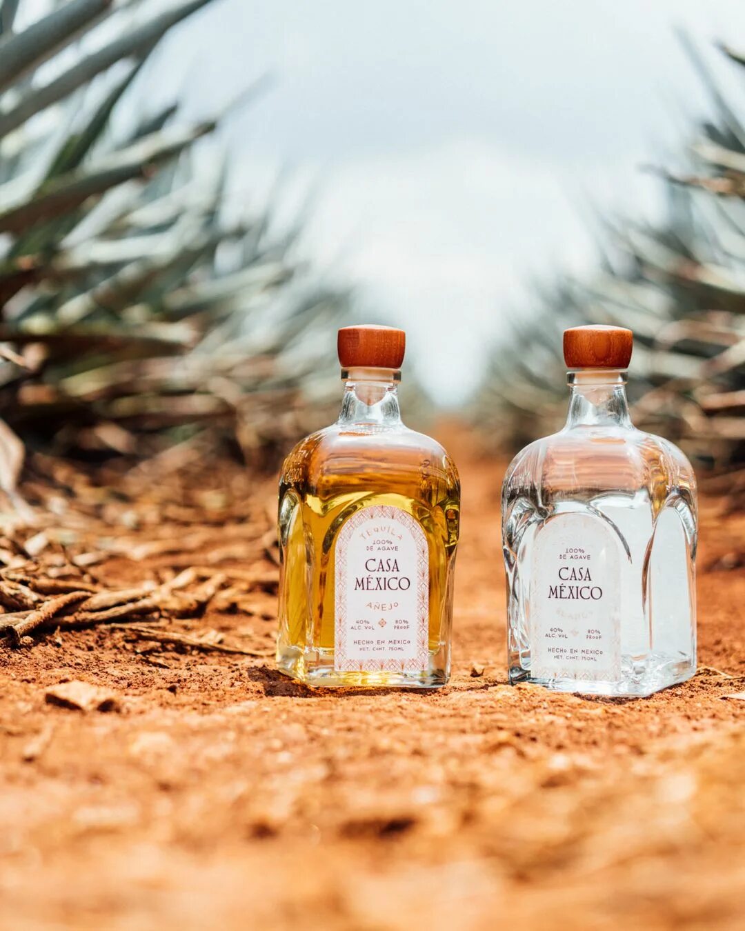 Casa México Tequila on Instagram: "Our tequila is made from only the ...