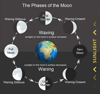 Moon Phase Dial - Clocks & Chimes