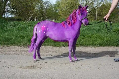 #1499496 - safe, twilight sparkle, horse, pony, cutie mark, 