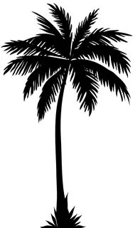 Download Arecaceae Palm Silhouette Tree Free Transparent Ima