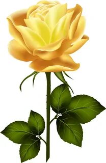 Download Clipart Roses Yellow Rose - Yellow Rose With Stem P