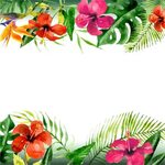 mq flowers flower tropical border sticker by @qoutesforlife