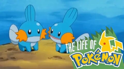 The Life of Pokemon: Mudkip - YouTube
