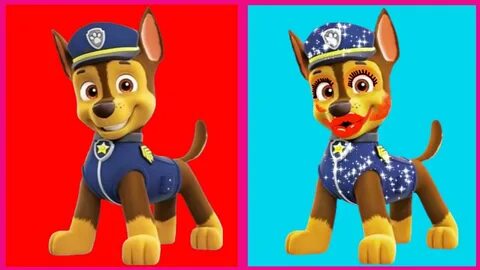 Paw Patrol Characters real life part 2 Gender Swap Very Funn