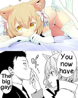 The big gay r/Animemes Know Your Meme