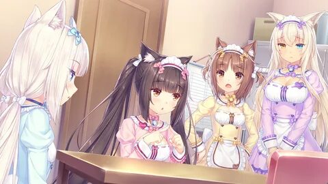 Nekopara Vol. 4 Eroge Review.